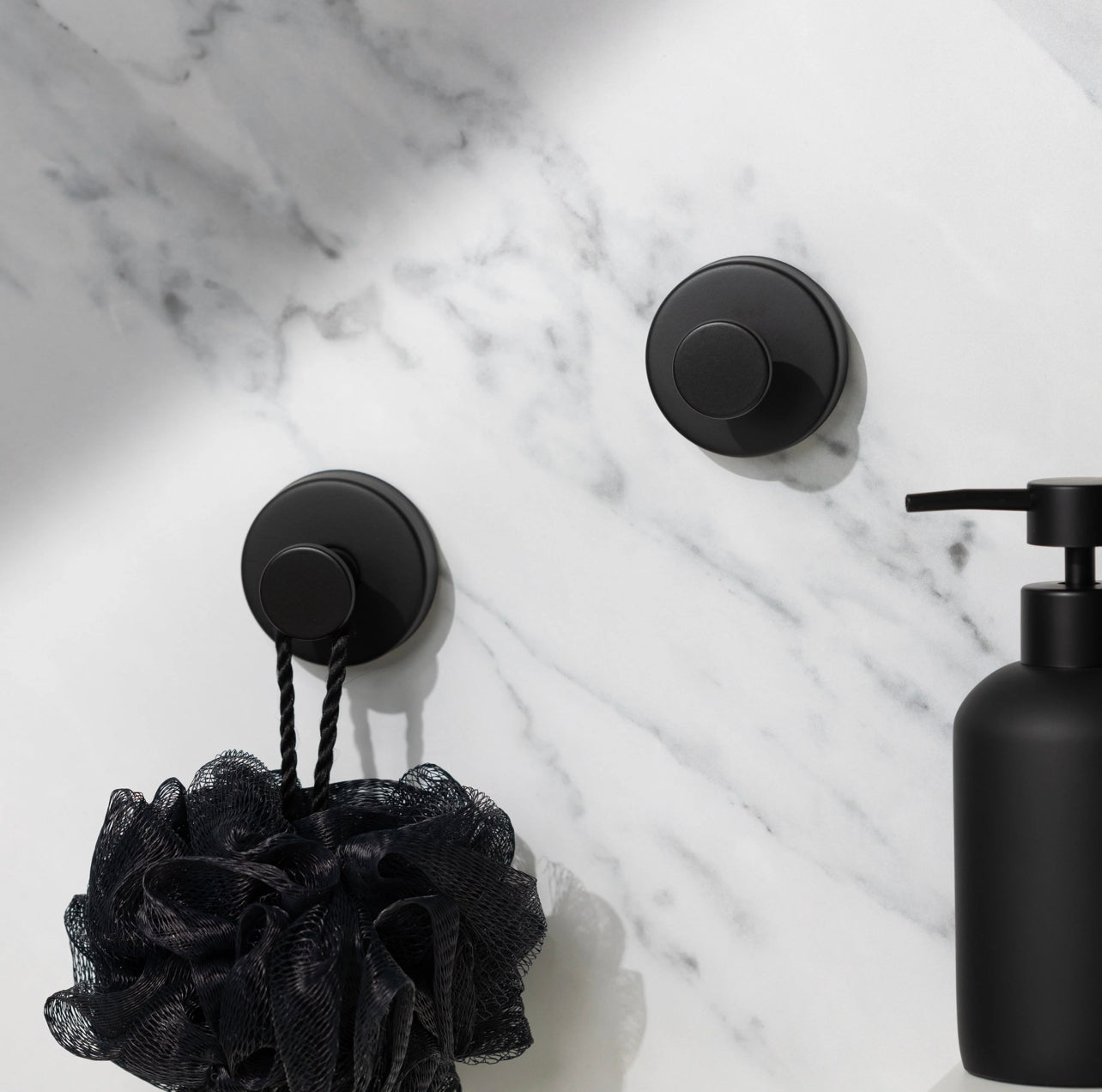 Hook with suction cup